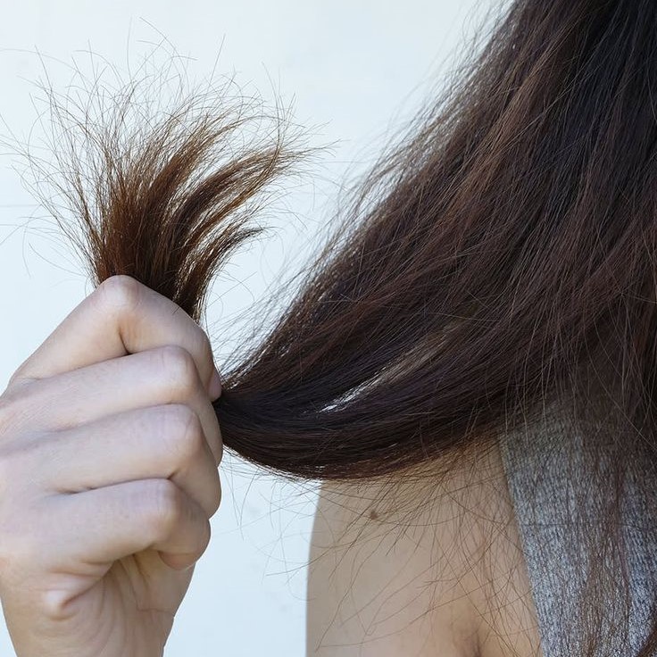 dry hair what to do